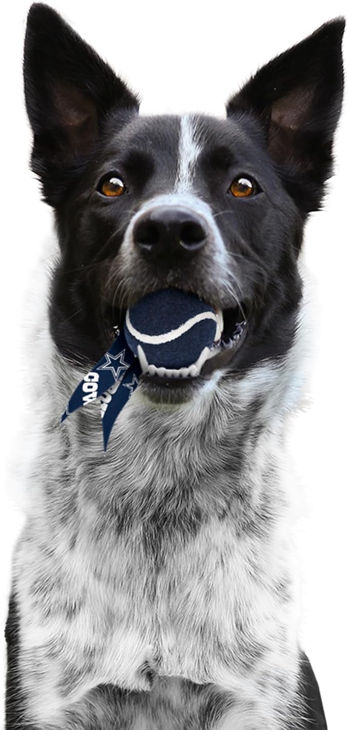 Littlearth NFL Pet Ball Launcher