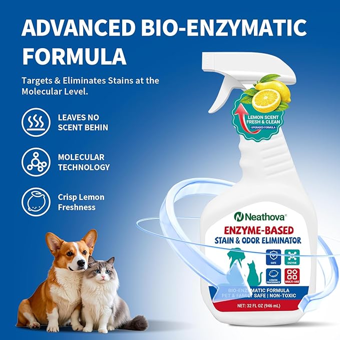 Stain & Strong Odor Eliminator, Enzyme Cleaner, Pet Odor Eliminator for Home - Carpet Stain Remover for Cats & Dog Pee - Urine Destroyer - Carpet Cleaner Spray Clear (Lemon)
