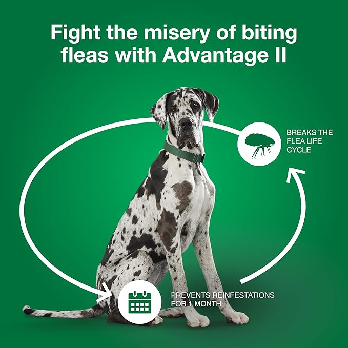 Advantage II Extra Large Dog, 4 pack