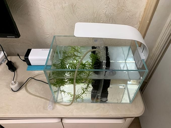 Small Nano Tall Rimless Tank, Glass Fish Tank, Betta Fish Tank, Aquarium (2.85 Gal, 11.8x6.7x7.8 inch)