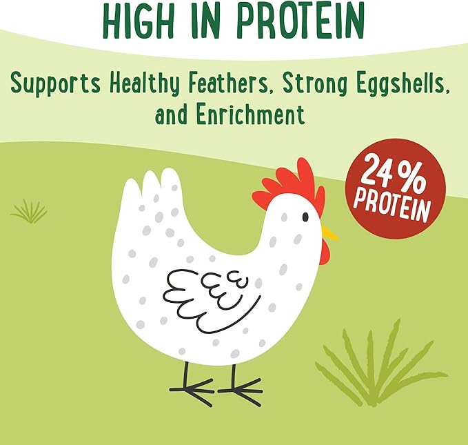 Manna Pro Farmhouse Favorites Insect & Harvest Blend with Black Soldier Fly Larvae, 100% Natural Protein & Veggie Treat for Chickens, Ducks, Turkeys & Wild Birds, 24% Protein Poultry Snack, 2lb