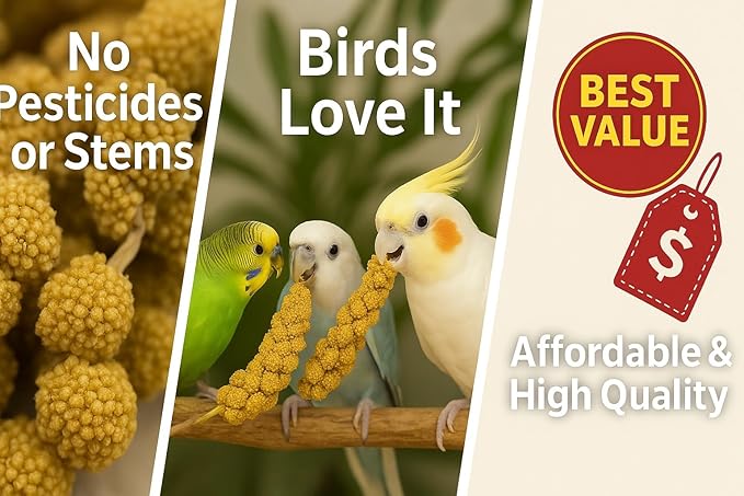 Nemeth Farms 1lb Premium Spray Millet for Exotic Birds – Grown in The USA – 100% Natural & Non‑GMO Bird Treat – Sun‑Dried Millet for Parakeets, Conures, Cockatiels, Parrots & Budgies