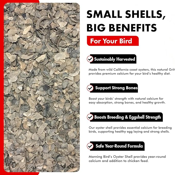 Morning Bird Oyster Shell for Birds 1.5 lbs - Natural Calcium Supplement – Sustainably Harvested from California Coast - Easy Add to Favorite Mix - Safe Year-Round Bird Food Additive