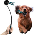Littlearth NFL Pet Ball Launcher