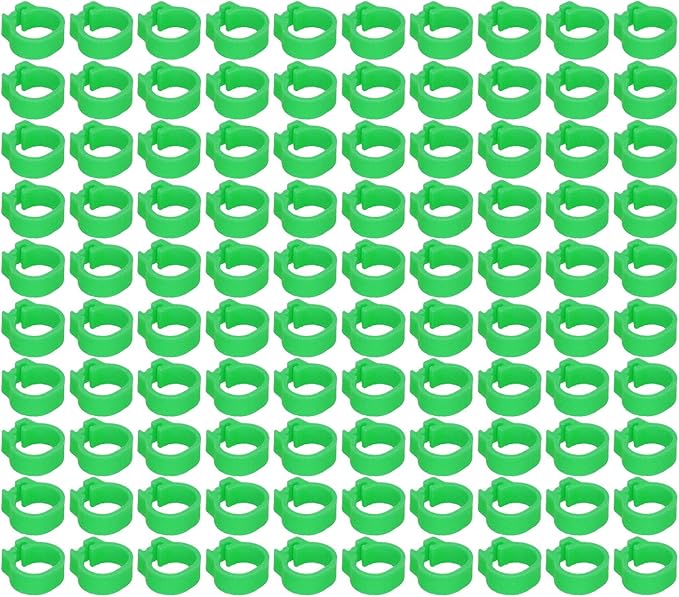 Fydun 100PCS S Leg Rings, 8mm Pigeons Identification Poultry Plastic Bird Foot Clip Pool Vacuum Hoses Bands No Words SuppliesOrange Health Supplies Band for Identify Orange (Green)
