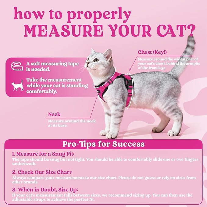 rabbitgoo Cat Harness and Leash for Walking, Escape Proof Soft Adjustable Vest Harnesses for Cats, Easy Control Breathable Reflective Strips Jacket, Rose Red, M