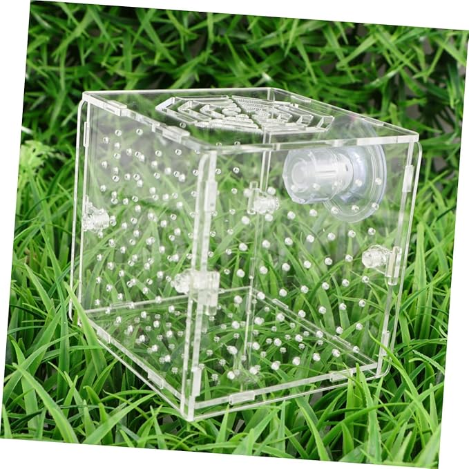 BESPORTBLE Acrylic Fish Breeding Box Live Fish Isolation Tank Breeding Hatching Box for Aquarium Round Hole Suction Cup