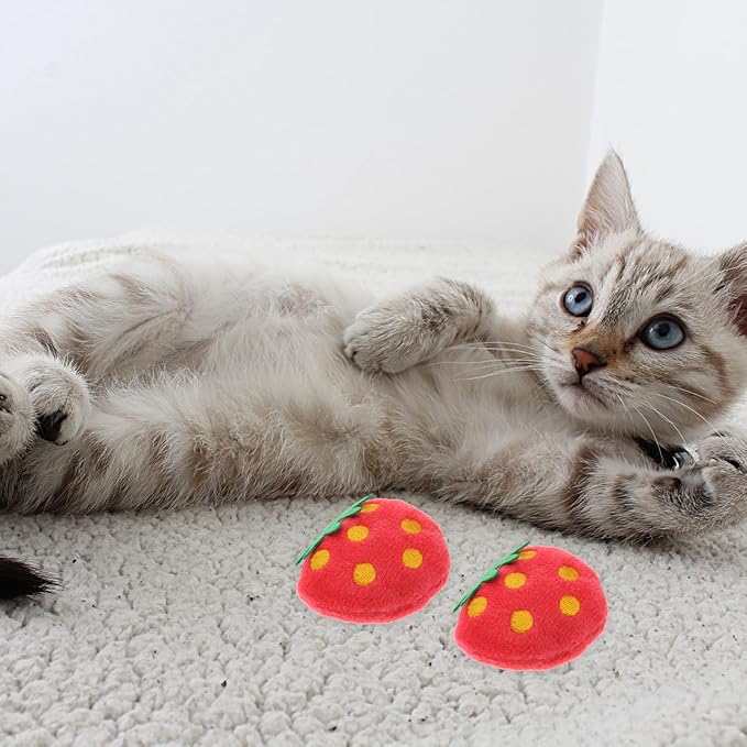 10 Pack Strawberry Cat Toy - Interactive Plush Chew Toys for Indoor Cats and Small Dogs - Cute Fruit Catnip Scented Kitty Teething Supplies for Valentine's Day Pet Gift