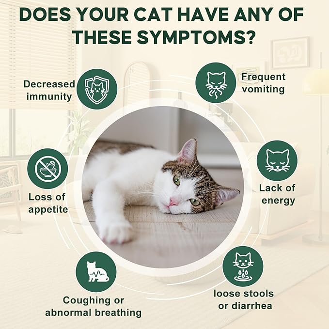 Yakucho lvermect for Cat, Dewomax Liquid Digestive Support, Broad Spectrum Gut Balance Formula for Kittens & Adult Cats – Supports Internal Cleanse & Natural Wellness – 3.5 oz (100ml)