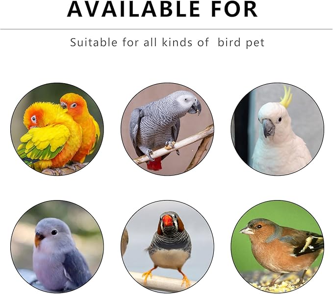 Portable Clear Bird Parrots Transport Cage Window Ventilated Carrier Bag Breathable Bird Carrier Travel Bag