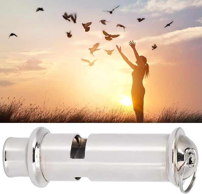 Pigeons Whistle, Silver Training Whistle, with Lanyard Mini Portable Anti‑ for Pigeons for Young Pigeons for Bird for Homing Pigeon