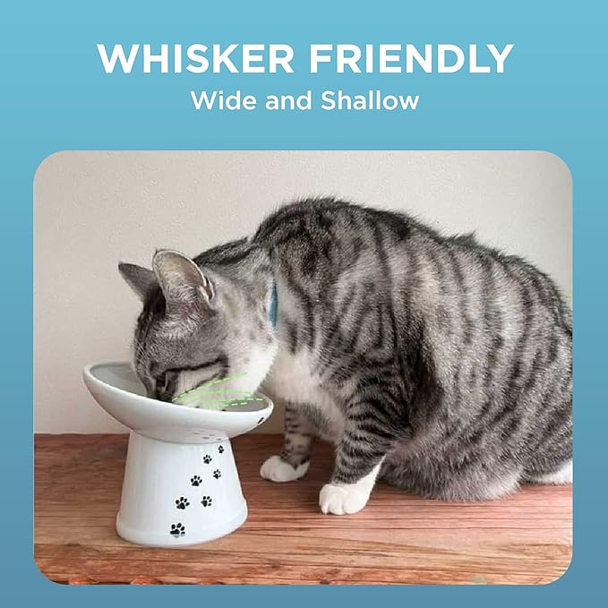 Necoichi Raised Cat Food Bowl – Ceramic Elevated 15° Tilted Cat Bowl for Whisker & Neck Fatigue, Dishwasher Microwave Safe Non-Slip Anti Vomiting Ergonomic Design (Extra Wide Tilted, 1.5-Cup Capacity)