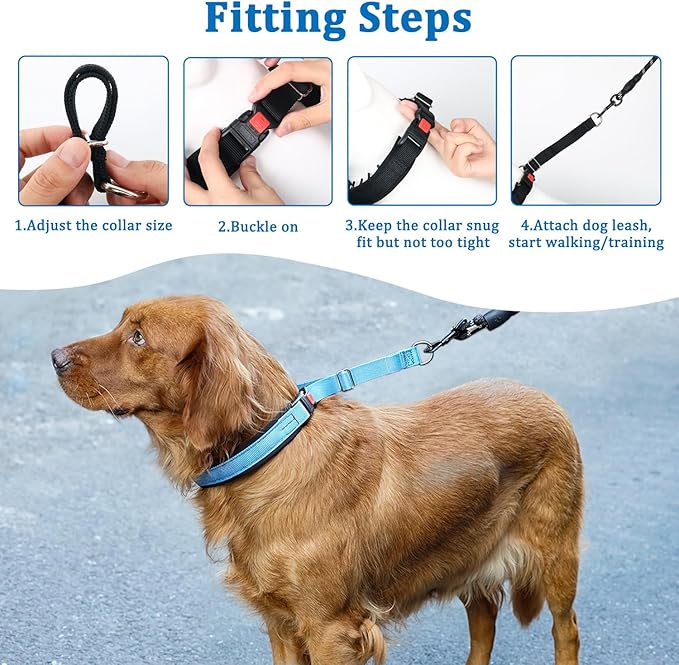 Mayerzon No Pull Dog Collar, Patented Martingale Collar for Small Medium Large Dogs with Buckle and Heavy Duty Nylon for Walking Training Hunting, Safe and Easy to Use(XL, Blue)