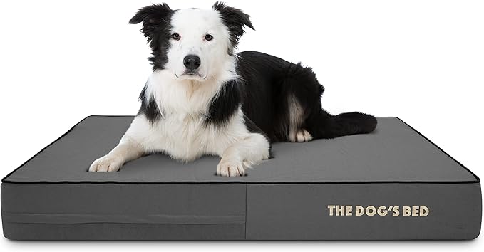 The Dog’s Bed Orthopedic Memory Foam Dog Bed Mattress, Oxford Fabric, Grey with Black Trim, Large, 6-Inch