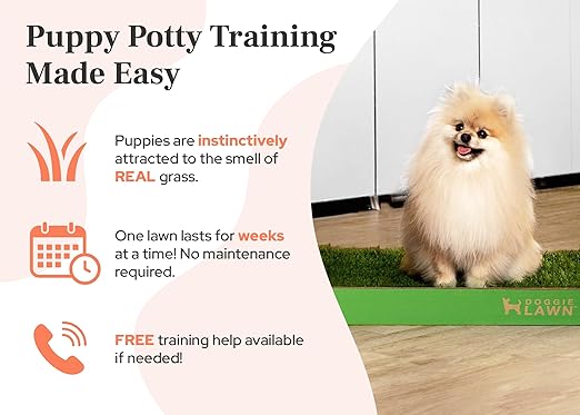 DoggieLawn Real Grass Puppy Pee Pads- 24 x 24 Inches - Perfect Indoor Litter Box for Dogs - No Mess, Easy-to-Use - Potty Training for Pets - Eco-Friendly Disposable Bathroom with Real Living Grass