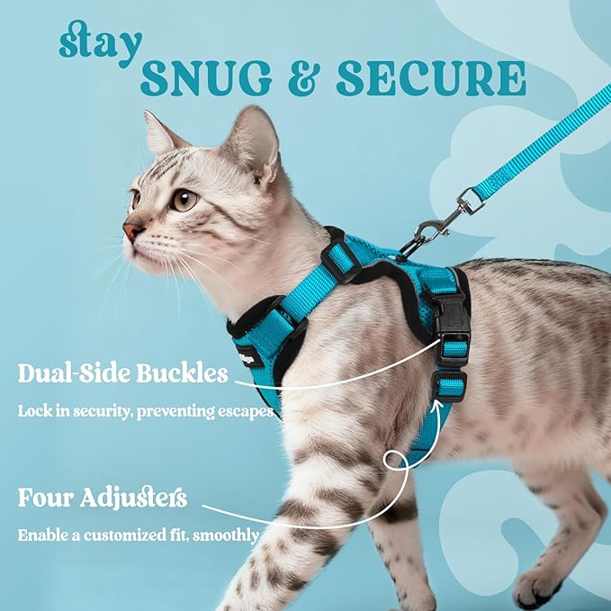 rabbitgoo Cat Harness and Leash for Walking, Escape Proof Soft Adjustable Vest Harnesses for Cats, Easy Control Breathable Reflective Strips Jacket, Teal, XXS