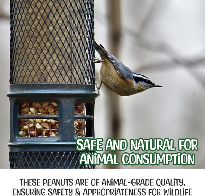 Premium Quality Raw Peanuts in Shell - 1 Pounds – All-Natural Food for Squirrels, Deer, Birds, and Other Wildlife Animals – Grown in The USA for Healthy Nutrition