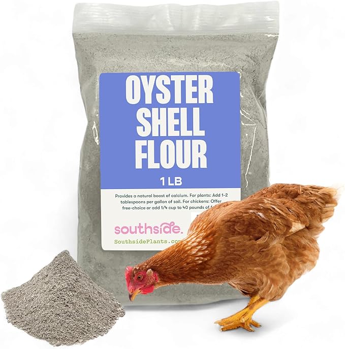 Southside Plants Oyster Shell Flour - High Calcium Supplement for Chickens, Amphibians, Reptiles, Mammals, Invertebrates & Birds - Harvest Delight Chicken Scratch | 1 lbs (1 lb)