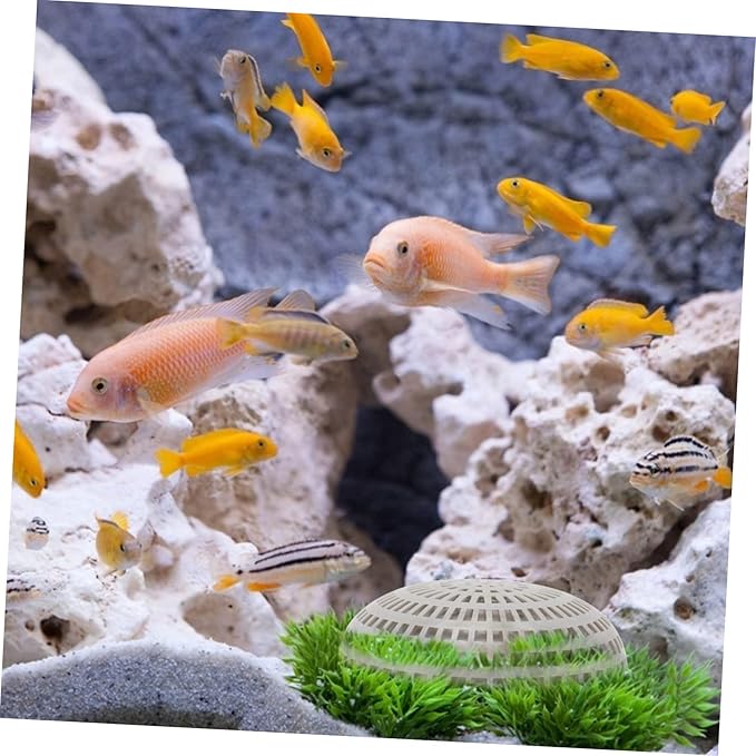 6pcs Aquatic Plant Boxes for Fish Tank Breeding Containers Permeable Design Landscape Decor for Aquascaping and Plant Cultivation