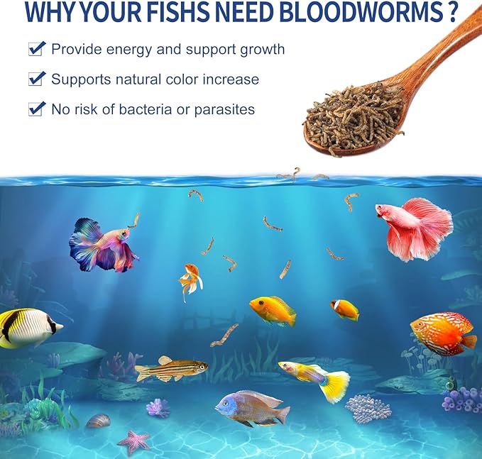 Dylan's cabin Freeze Dried Blood Worms - High Protein Fish Food Natural Bloodworms for Freshwater and Saltwater Fish All Tropical Fish Bettas Goldfish Discus Guppy Cichlids (85g)