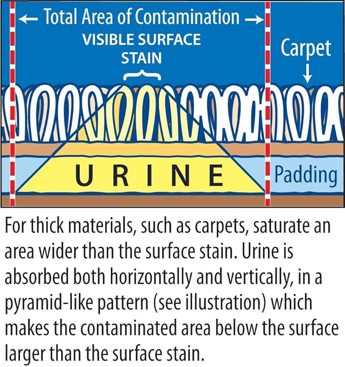 Instantly Urine Odor Remover & Eliminator for Cat Urine, Oxidizer Based Urine Cleaner for Carpets, Rugs, Mattress, etc. 128 Oz (1 Gallon)