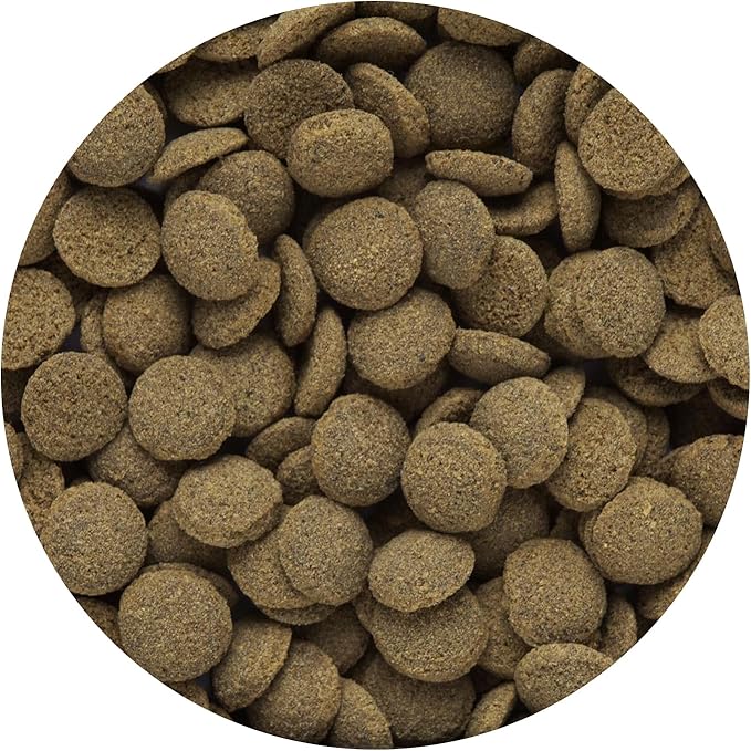 Hikari Tropical Sinking Wafers for Catfish, Loaches and Bottom Feeders 3.88 oz