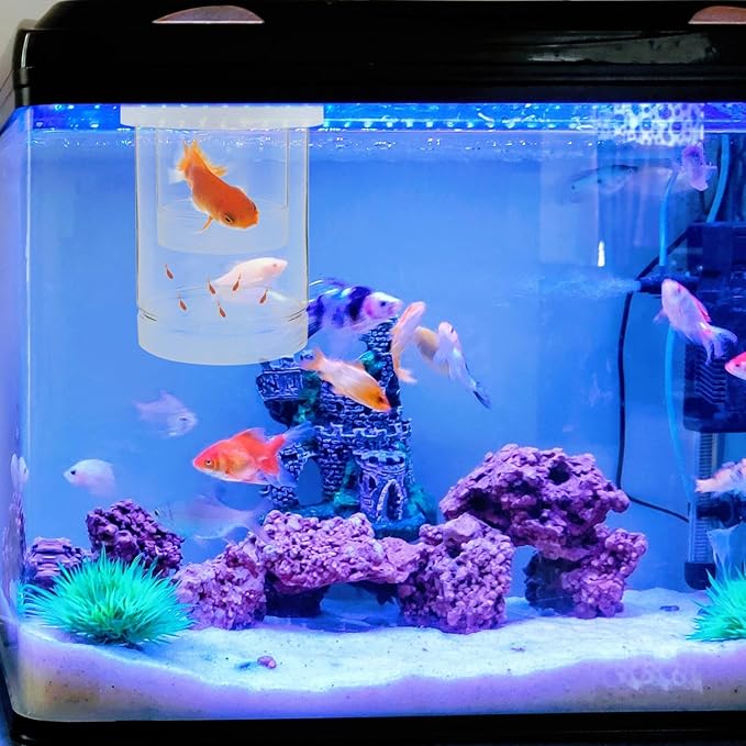 HEMOTON Fish Fry Incubation Box Floating Isolation Breeding Tank with Small Coarse Mesh and Medium Fine Mesh Set for Aquarium Guppy Betta Shrimp Hatchery Nursery
