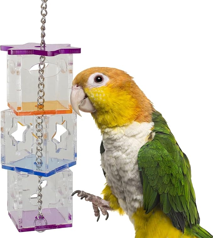 Super Bird Creations SB1206 Foraging Cubes Bird Toy - Interactive Bird Toy for Foraging Fun & Mental Stimulation - Parrots Ringnecks Medium Conures - Fillable with Treats - Ideal for Medium Bird Size