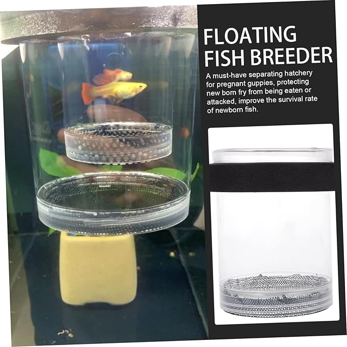 Guppy Breeder Box Aquarium Isolation Fish Hatchery Tank with Transparent Cover for Newborn Fry Protection and Pregnant Guppy Separation