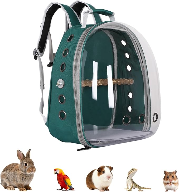 Transparent Parrot Backpack,12 Holes Ventilate Space Capsule Carrier,Stick Wooden Standing Perch,Portable Double Shoulder Outdoor Pet Backpack Carrier for Birds and Pets (Green,with Stick)
