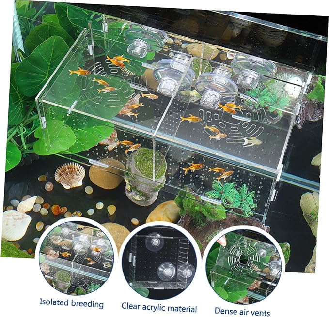 Fish Breeding Box for Aquarium Fish Tank Acclimation Box Transparent Incubator