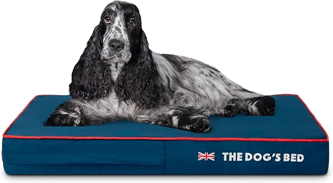 The Dog’s Bed Orthopedic Memory Foam Dog Bed Mattress, Oxford Fabric, Blue with Red Trim, Medium, 4-Inch