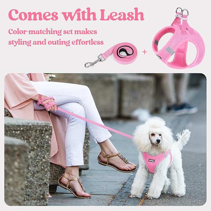 rabbitgoo Dog Harness Small Sized and Leash Set, Step in Soft Light Puppy Vest, Breathable Mesh Pet Harness, Reflective for Safe Easy Walking, Light Pink XS