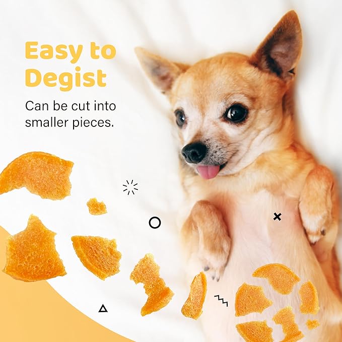 iPaw 5 Stock-Up Combo Turkey Chips Dog Treats for Puppy Training, All Natural Human Grade Dog Treat, US Sourced Raw Material, Hypoallergenic, Easy to Digest (Turkey Chips), 5 Packs