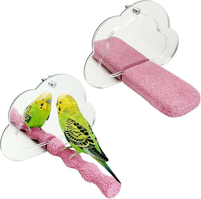 PINVNBY 2 PCS Bird Perch with Mirror Resin Parakeet Perches Hanging Parrot Toys Interactive Bird Cage Accessories for Cockatiel Conure Lovebird Finch (Pink)