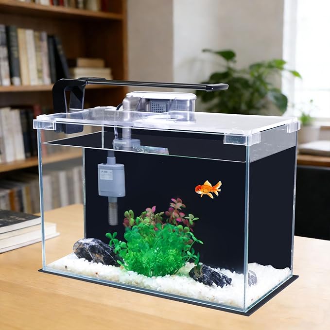 FS&AQ 2.5 Gallon Betta Fish Tank with Filter Light and Lid Small Aquarium Starter Kit Perfect for Desktops Offices or Beginners