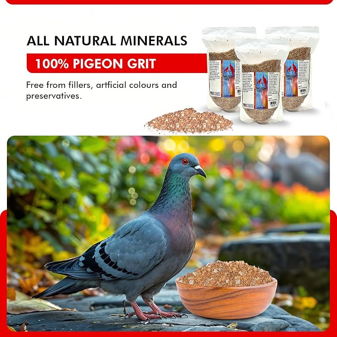 Morning Bird Pigeon Grit - Healthy & Nutritious Pigeon Food to Support Strong Muscles & Bones for Grit Eating Birds - Supports Digestion & Packed with Essential Minerals 4.5 lbs (3-Pack, 1.5 lbs Each)