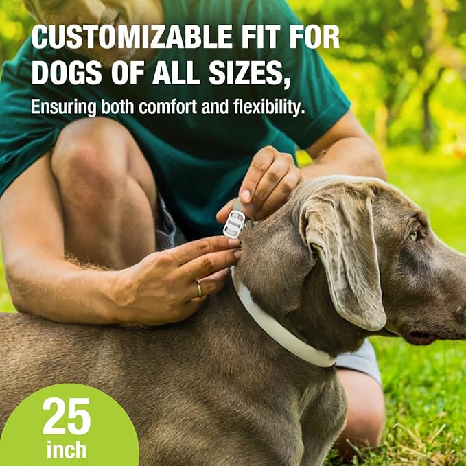 EcoVenger Flea Collars for Dogs & Cats - Flea & Tick Repellent 2-Pack White. Built-in Pant-Based Formula Strong Repellency Slow Release, Lasting Protection, Pleasant Aroma, Waterproof