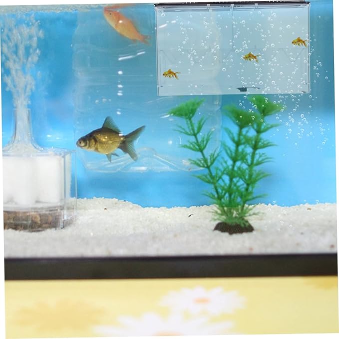 Fish Tank Breeding Box Acrylic Isolation Box Easy Clean Incubation Accessory