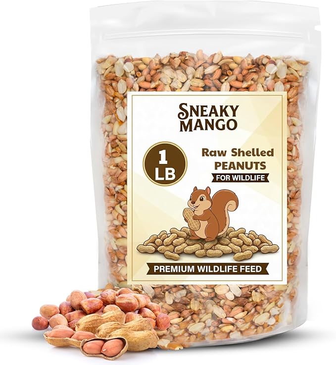 Premium Quality Raw Out of Shell Peanuts - 1 Pound - Shelled Peanuts for Birds – Wildlife Quality - Food for Squirrels, Deer, Birds, and Other Wildlife Animals – Grown in The USA