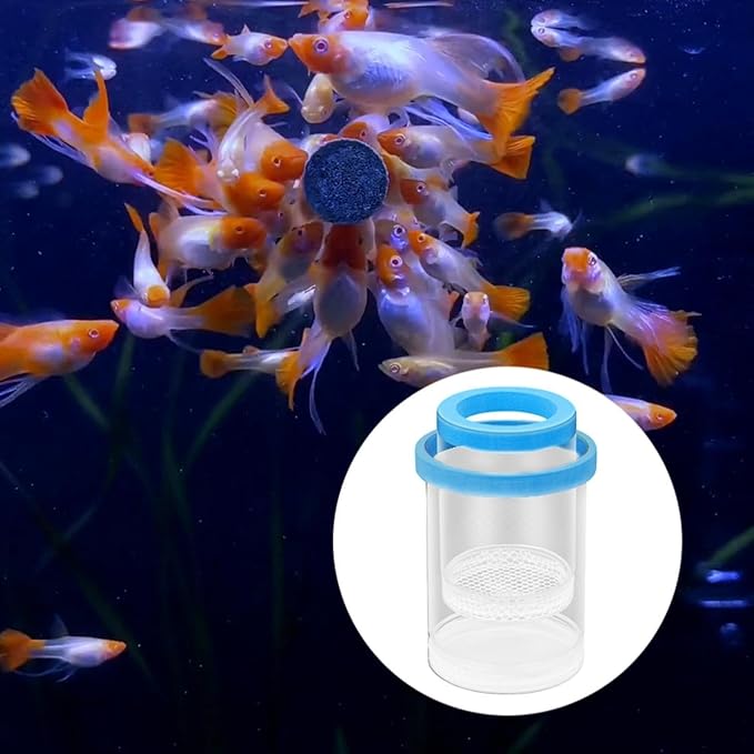 Floating Fish Breeding Isolation Box, Aquarium Breeder Round Spawning Box, Fine Mesh Clear Hatching Box, Aquarium Hatchery Accessory, Style A Blue