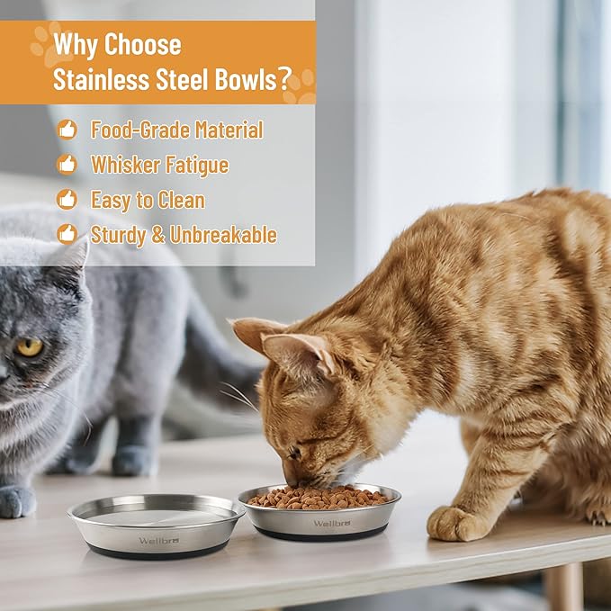 Cat Bowls, 6 Pcs Stainless Steel Bowls for Food and Water, Whisker Fatigue Shallow Non-Slip Cat Dishes Plates for Small Dog Puppies Cats