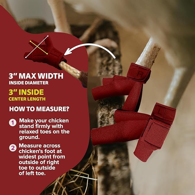 Chicken Shoes for Injured Feet – Protective Neoprene Footwear for Chicken, Open-Toe Design for Bumblefoot Relief, Made in USA (Chicken Shoes, Red, Medium Chickens)