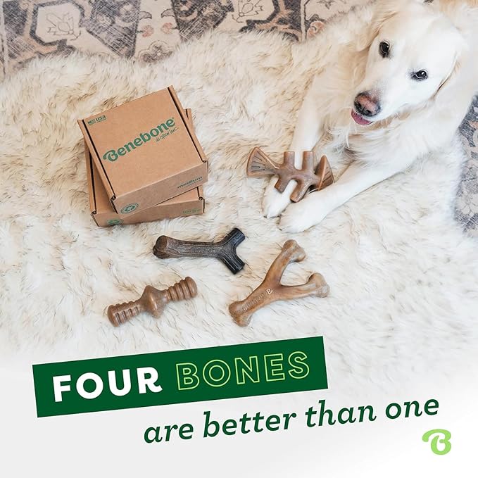 Benebone Small 4-Pack Dog Toys for Aggressive Chewers – Durable Dog Bones, Made in USA – Dog Toys for Small Dogs Under 30 lbs