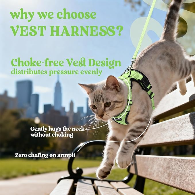 rabbitgoo Cat Harness and Leash for Walking, Escape Proof Soft Adjustable Vest Harnesses for Cats, Easy Control Breathable Reflective Strips Jacket, Light Green, XS