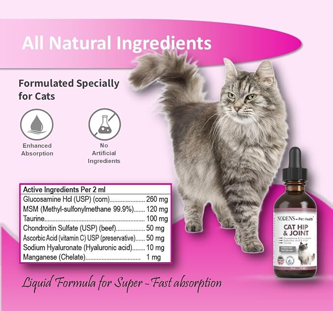 NODENS Cat Hip and Joint Liquid Glucosamine for Cats with Chondroitin – 100% Natural Cat Joint Supplement for Senior Cats Pain Relief Anti-inflammatory for Improved Joint Flexibility & Mobility 2oz