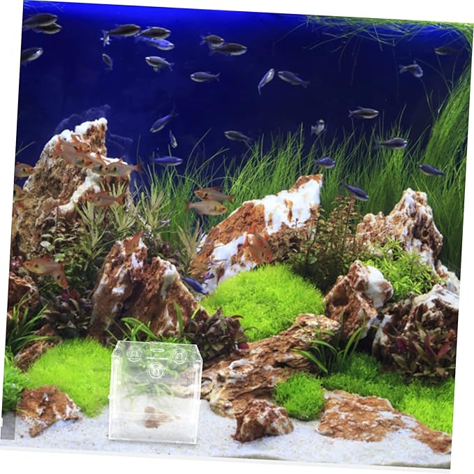 Fish Breeder Isolation Box Transparent Acrylic Hatching Tank for Fish Fry and Breeding Environment for Aquariums