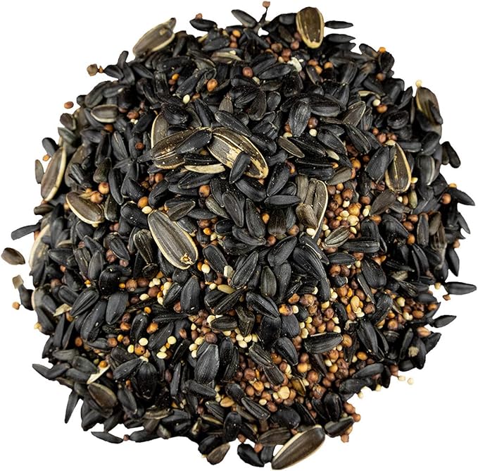 Classic Bird Seed (18 Pounds, Premium)