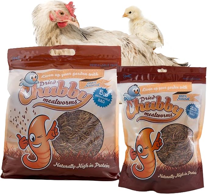 Chubby Dried Mealworms High-Protein Non-GMO Treats for Chickens, Ducks, Wild Birds & Backyard Pets