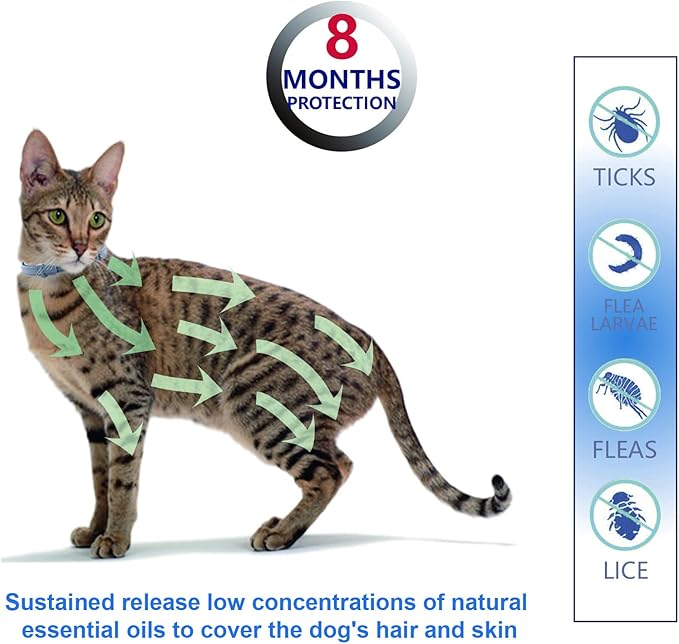 Flea and Tick Collar for Cats, 2‑Pack | Top 50 Ranked (#46), 8‑Month Waterproof Protection with Natural Essential Oils | $1 Donation per Purchase Supports Animal Rescue